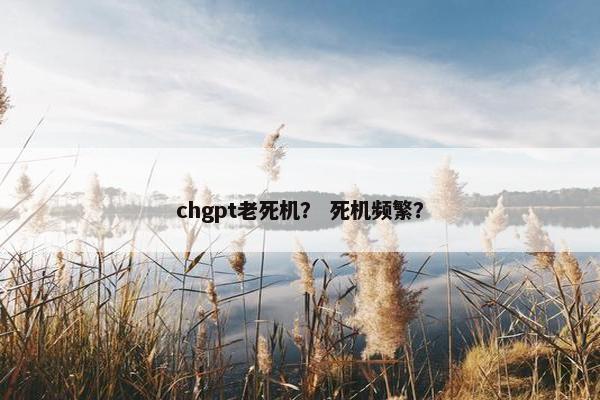 chgpt老死机？ 死机频繁？