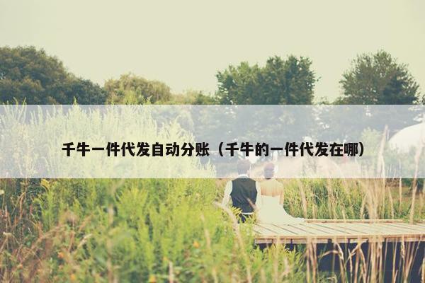 千牛一件代发自动分账（千牛的一件代发在哪）