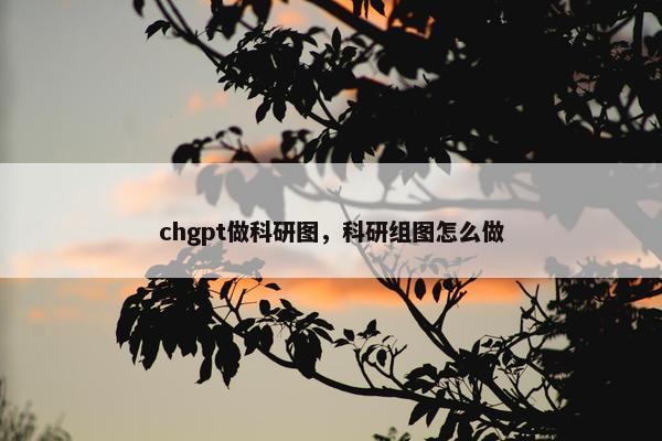 chgpt做科研图，科研组图怎么做