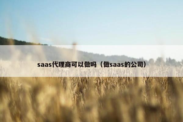 saas代理商可以做吗（做saas的公司）