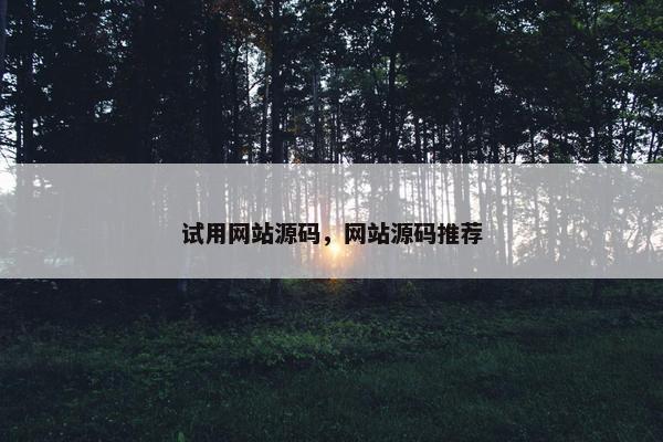 试用网站源码，网站源码推荐