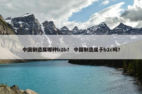中国制造属哪种b2b？ 中国制造属于b2c吗？