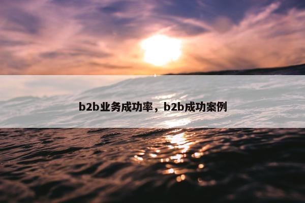 b2b业务成功率，b2b成功案例