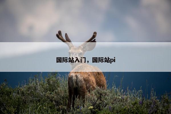 国际站入门，国际站pi