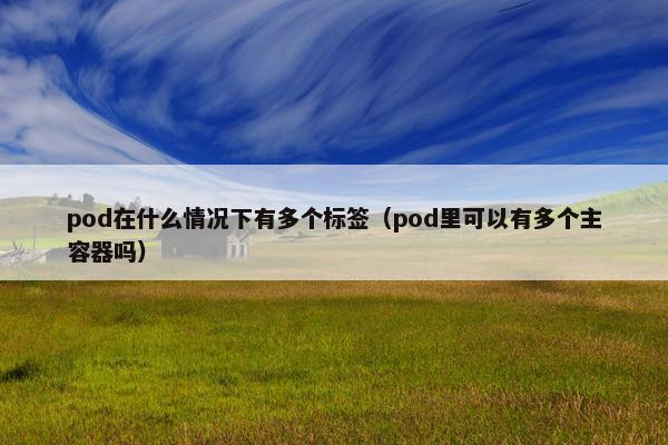 pod在什么情况下有多个标签（pod里可以有多个主容器吗）