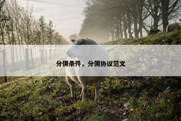 分佣条件，分佣协议范文