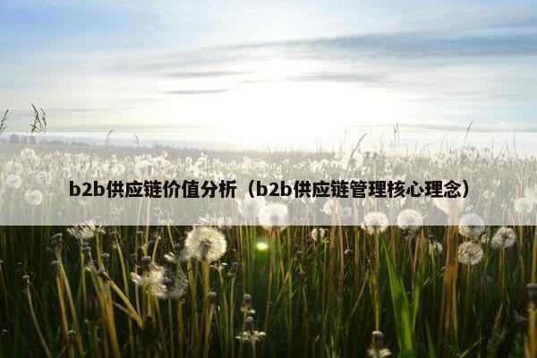 b2b供应链价值分析（b2b供应链管理核心理念）