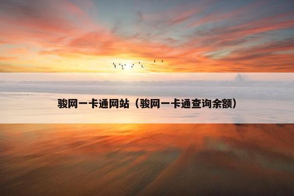 骏网一卡通网站（骏网一卡通查询余额）