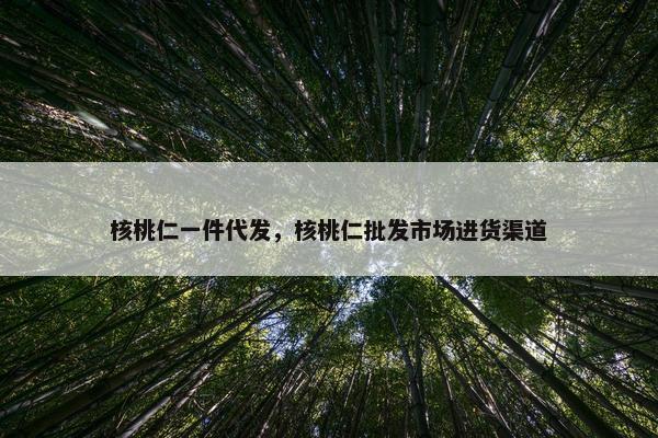 核桃仁一件代发，核桃仁批发市场进货渠道