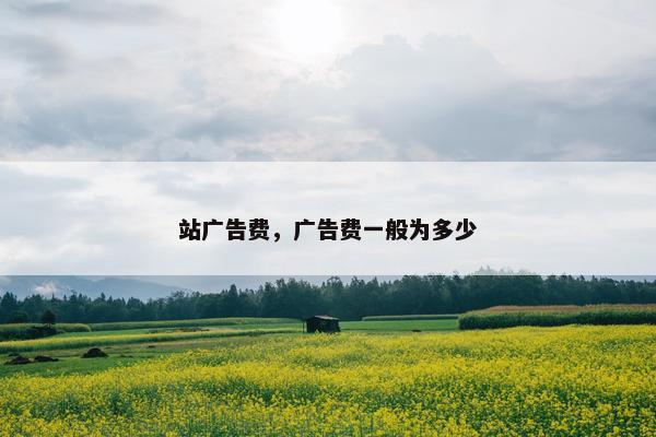 站广告费，广告费一般为多少