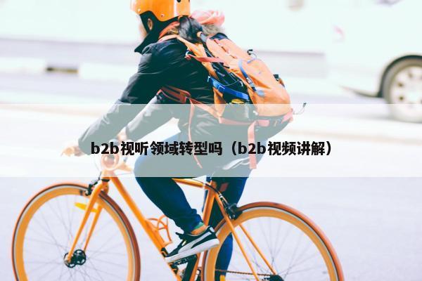 b2b视听领域转型吗（b2b视频讲解）