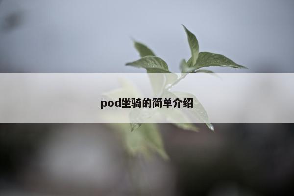 pod坐骑的简单介绍