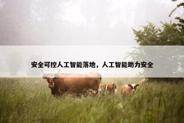 安全可控人工智能落地，人工智能助力安全
