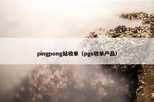 pingpong站收单（pgs收单产品）
