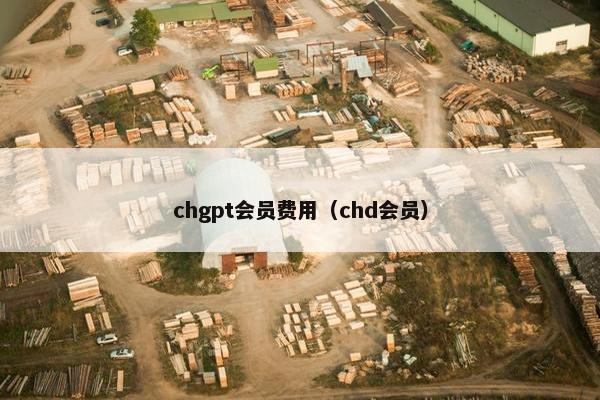 chgpt会员费用（chd会员）