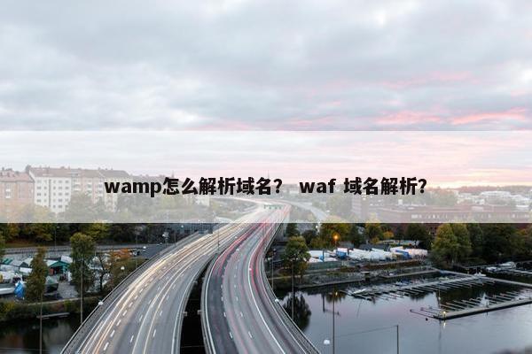 wamp怎么解析域名？ waf 域名解析？