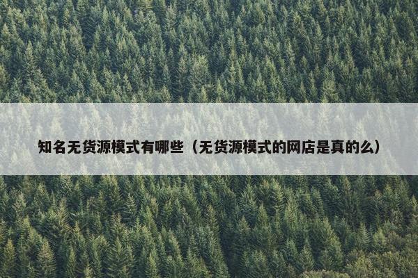 知名无货源模式有哪些（无货源模式的网店是真的么）