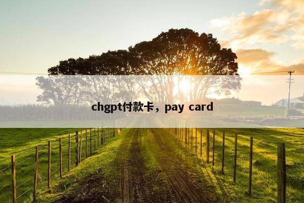chgpt付款卡，pay card