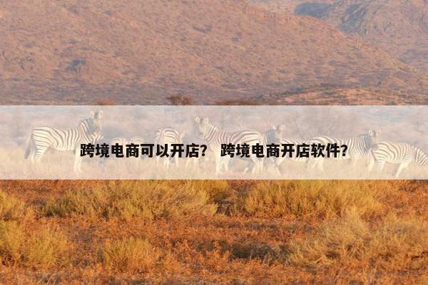 跨境电商可以开店？ 跨境电商开店软件？