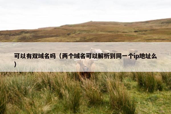 可以有双域名吗（两个域名可以解析到同一个ip地址么）