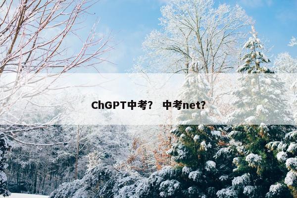 ChGPT中考？ 中考net？