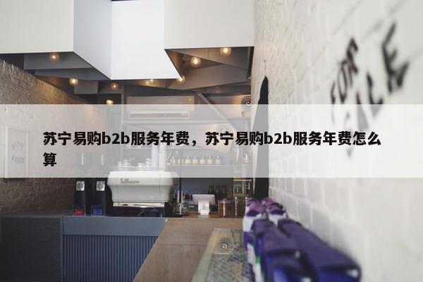 苏宁易购b2b服务年费，苏宁易购b2b服务年费怎么算