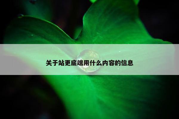 关于站更底端用什么内容的信息