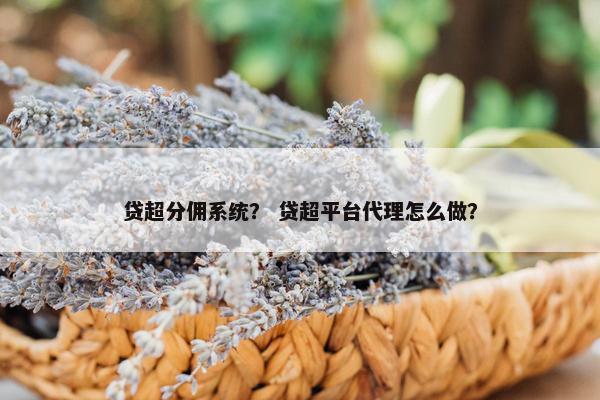 贷超分佣系统？ 贷超平台代理怎么做？