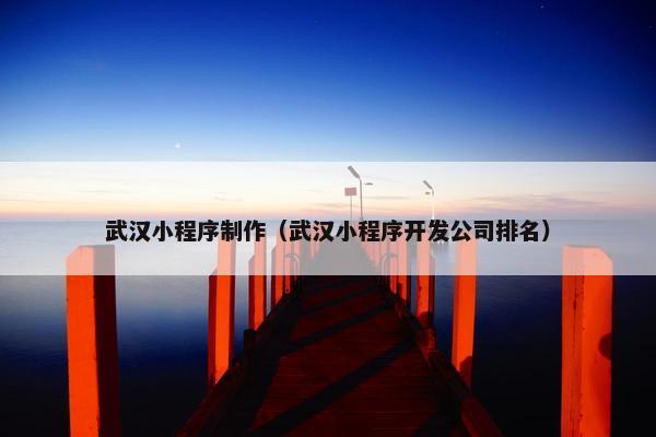 武汉小程序制作（武汉小程序开发公司排名）