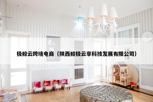 极鲸云跨境电商（陕西鲸极云享科技发展有限公司）