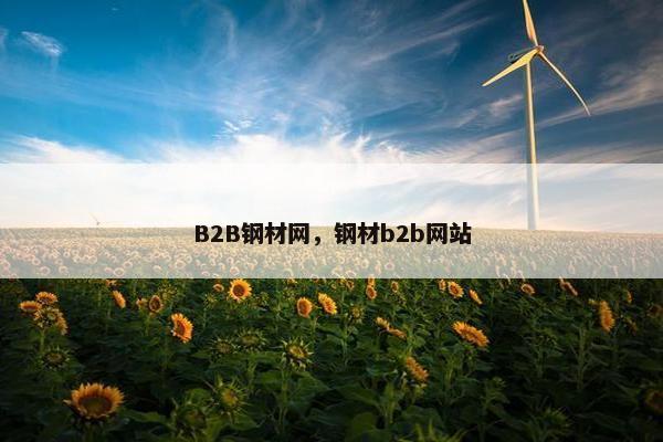 B2B钢材网，钢材b2b网站
