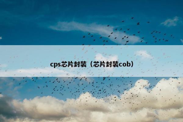 cps芯片封装（芯片封装cob）