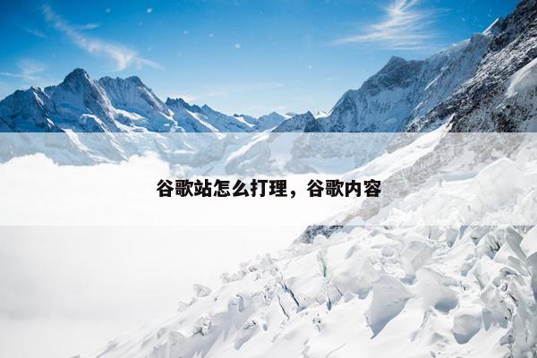 谷歌站怎么打理，谷歌内容