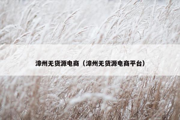 漳州无货源电商（漳州无货源电商平台）