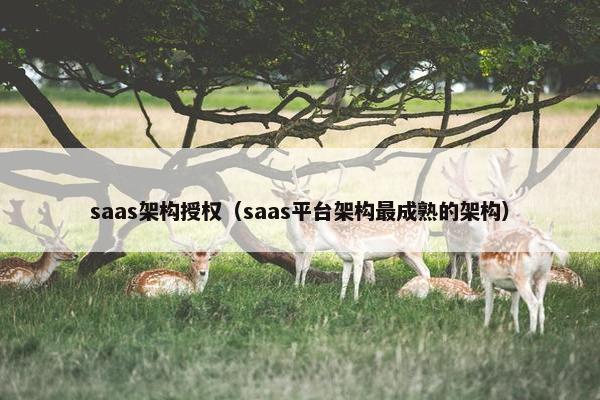saas架构授权（saas平台架构最成熟的架构）