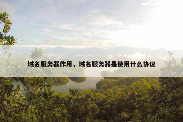 域名服务器作用，域名服务器是使用什么协议