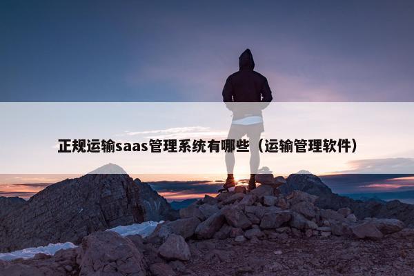 正规运输saas管理系统有哪些（运输管理软件）