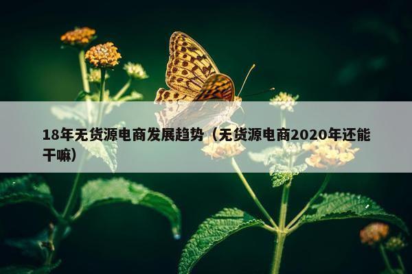 18年无货源电商发展趋势（无货源电商2020年还能干嘛）