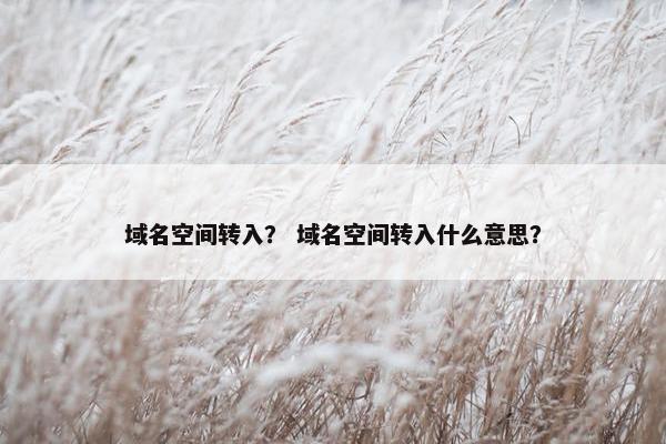 域名空间转入？ 域名空间转入什么意思？