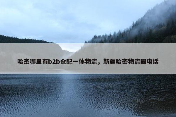 哈密哪里有b2b仓配一体物流，新疆哈密物流园电话