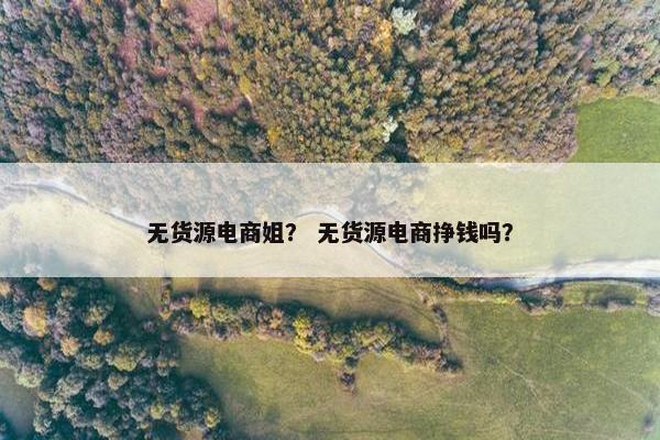 无货源电商姐？ 无货源电商挣钱吗？