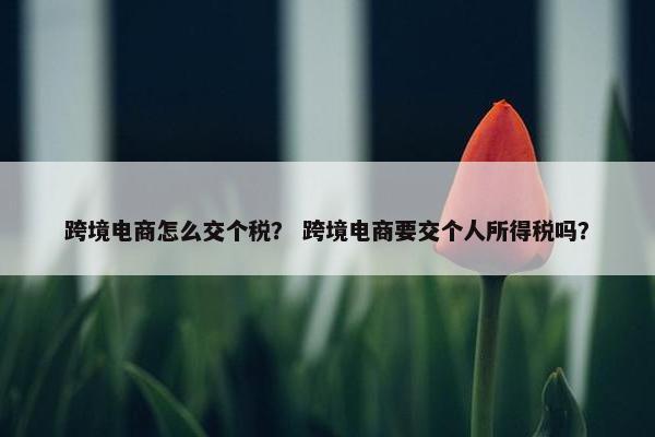 跨境电商怎么交个税？ 跨境电商要交个人所得税吗？