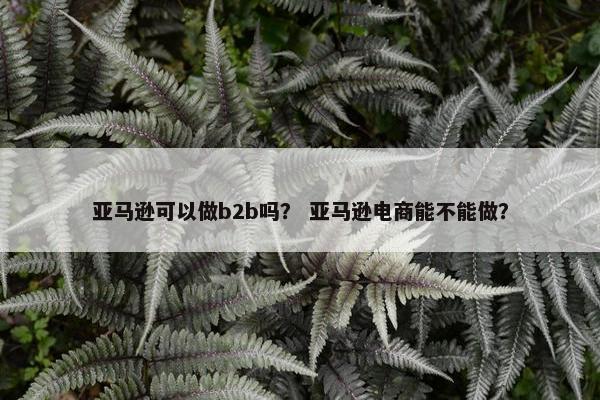 亚马逊可以做b2b吗？ 亚马逊电商能不能做？