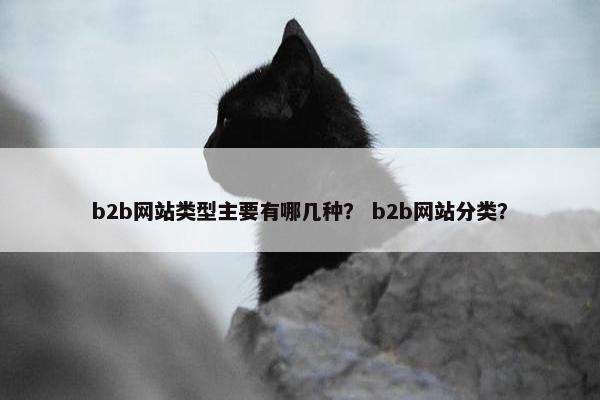 b2b网站类型主要有哪几种？ b2b网站分类？