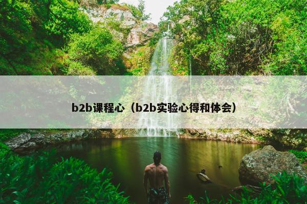 b2b课程心（b2b实验心得和体会）