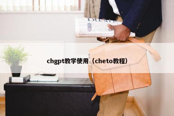 chgpt教学使用（cheto教程）