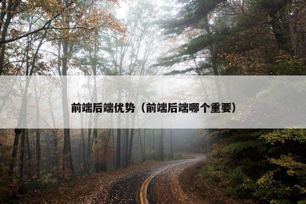 前端后端优势（前端后端哪个重要）