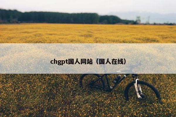 chgpt国人网站（国人在线）