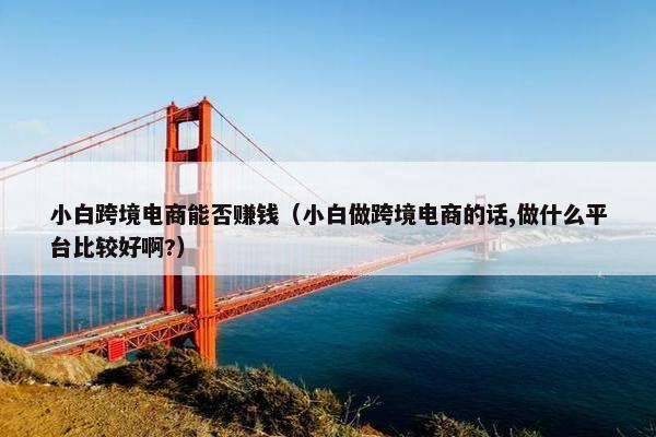 小白跨境电商能否赚钱（小白做跨境电商的话,做什么平台比较好啊?）