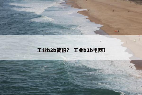 工业b2b简报？ 工业b2b电商？